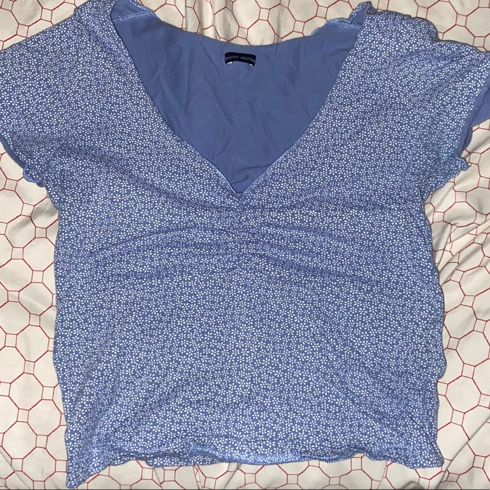 Brandy Melville Crop Top